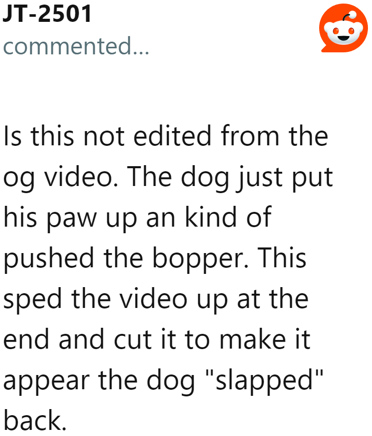 One user points out that although the video is legit, it was just edited to make it seem like the dog got annoyed and slapped the guy.