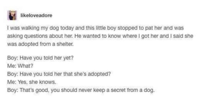 21. You should never keep a secret from a dog