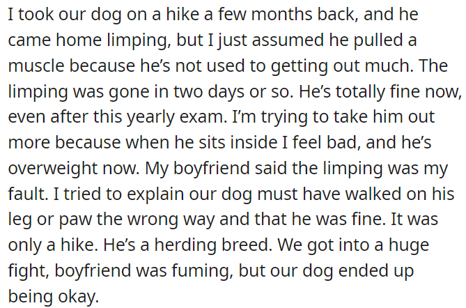 OP took the dog hiking a few months ago and he came back limping her boyfriend's blamed her for the limping.