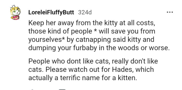 People who really don't like cats, don't like cats