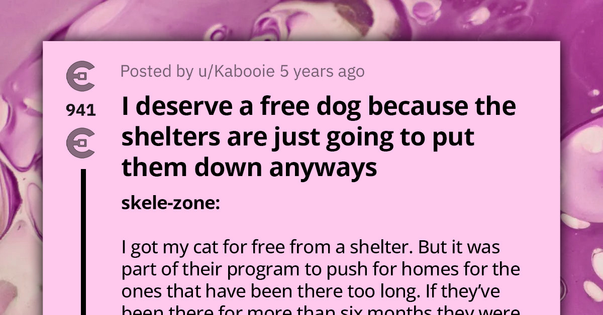 Redditors Educate Choosy Beggar Who Feels They Deserve A Free Dog Since