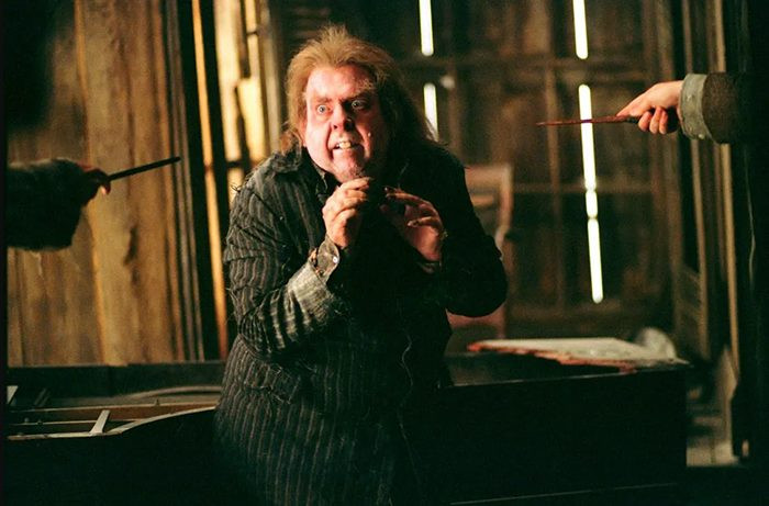 Peter Pettigrew in the movie