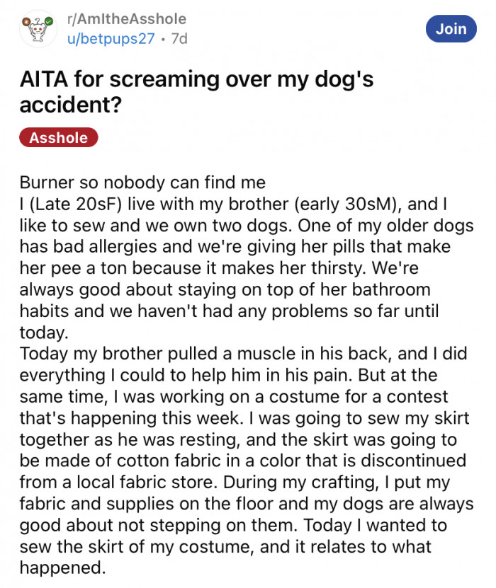 The Reddit user explained that she lives with her brother and their two dogs, one of which is on allergy medication that makes her pee a lot.