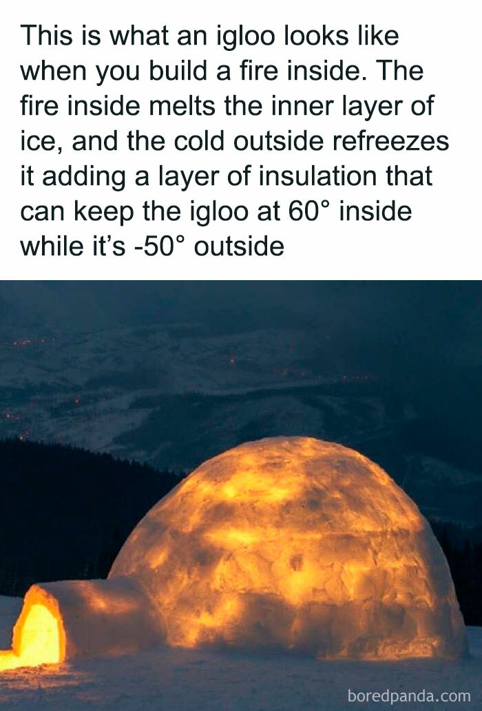 22. Learning about igloos