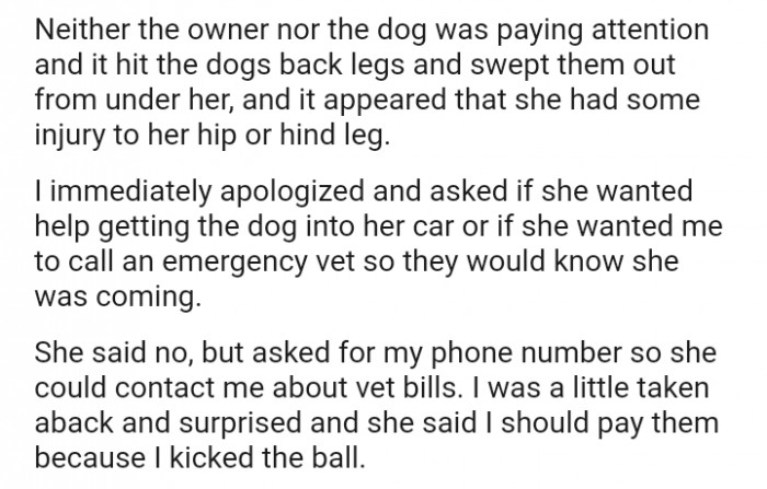 The owner and the dog were not paying attention