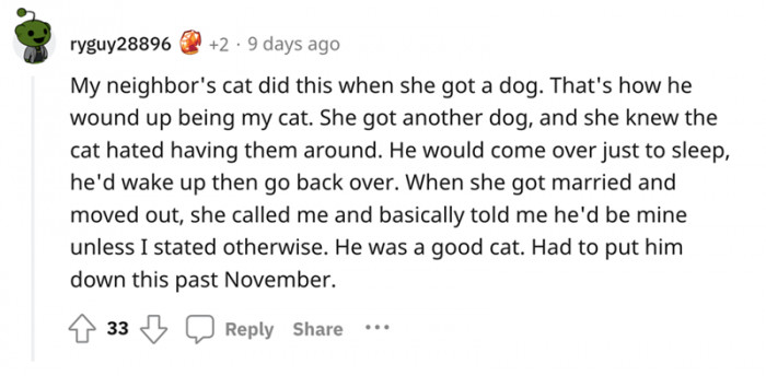 It takes quite a bit of compassion to recognize when your cat has a home that's a better fit than your own.