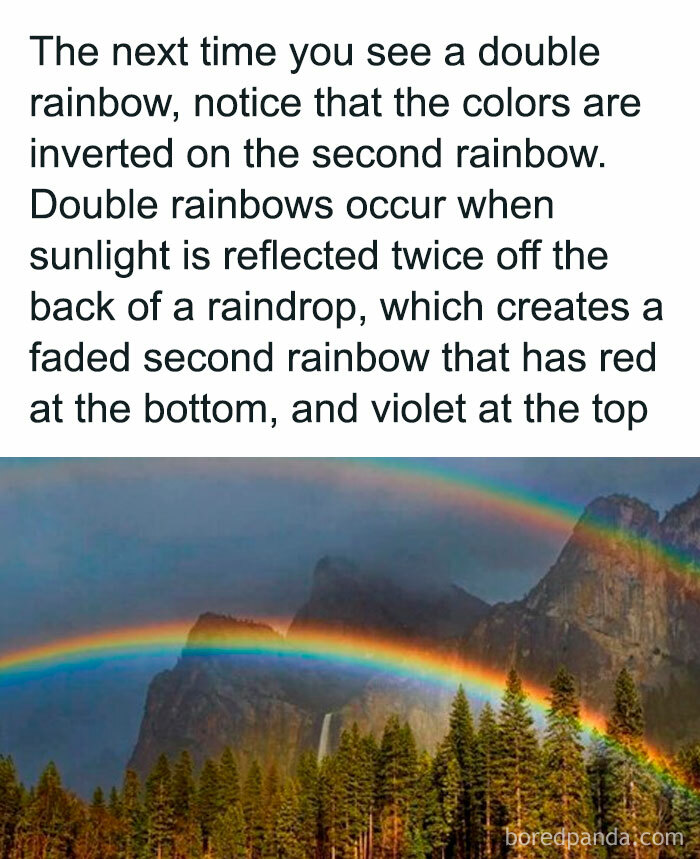 2. A double rainbow