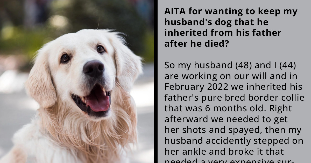 Young And Healthy Spouses Argue Over "What If" Situation Who Should