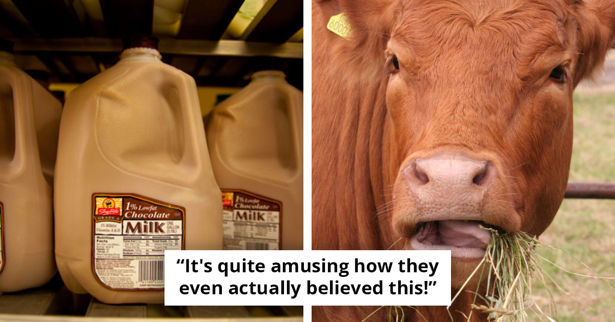 Millions Still Think Chocolate Milk Comes From Brown Cows, And It's a Wake-Up Call